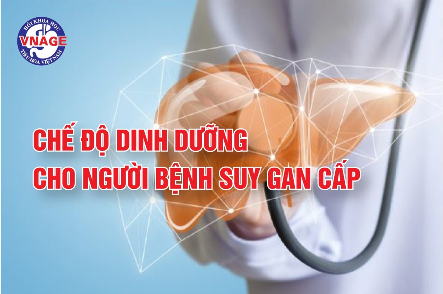 Chế độ dinh dưỡng cho người bệnh suy gan cấp