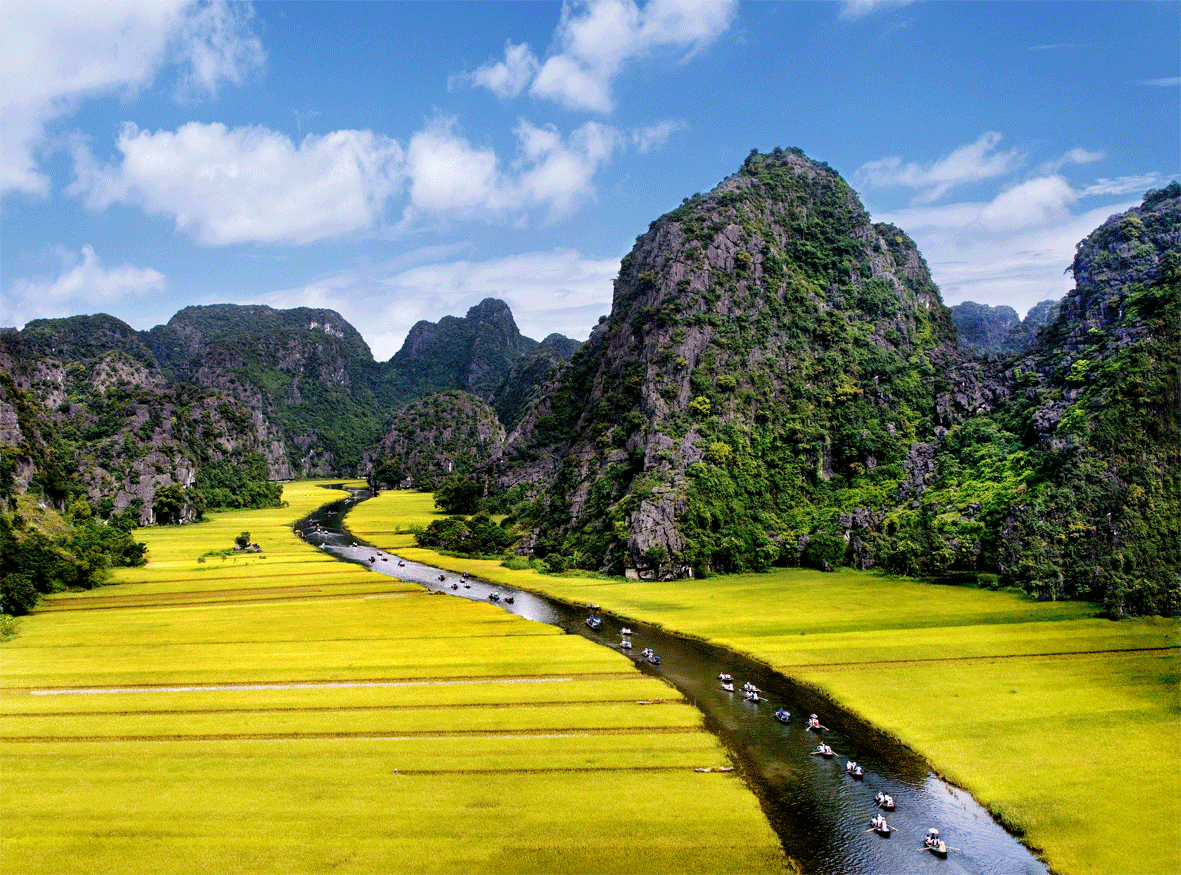 Hội nghị thường niên lần thứ 31 của Hội Khoa học Tiêu hóa Việt Nam