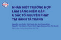 Nhân một trường hợp lâm sàng hiếm gặp: U sắc tố nguyên phát tại hành tá tràng